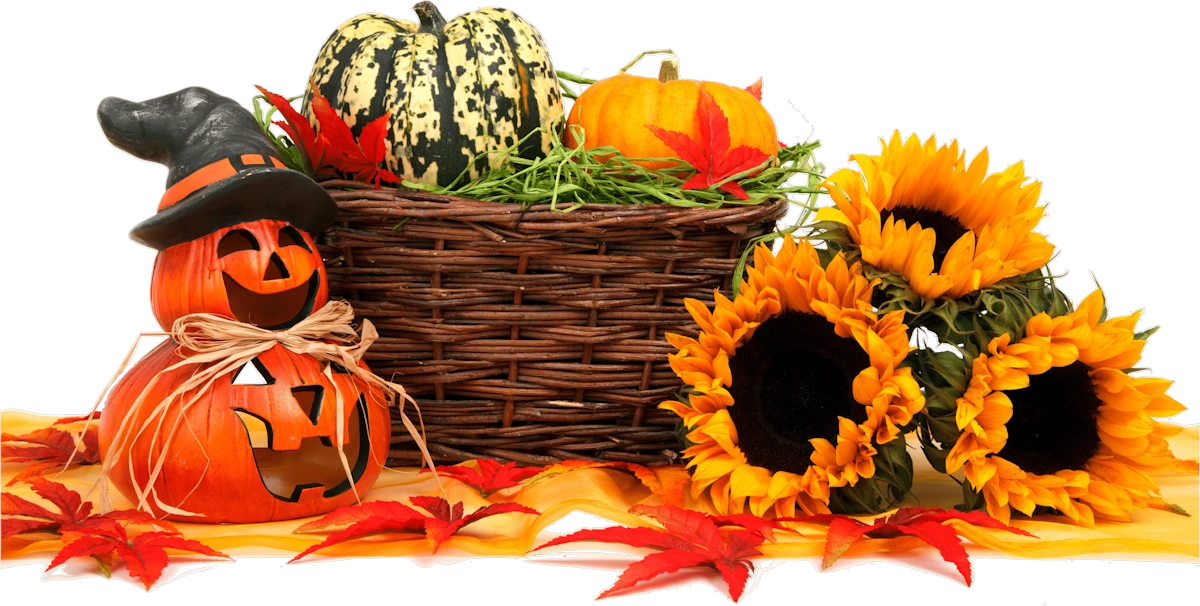 autumn-flowers-scarecrow-pumpkin