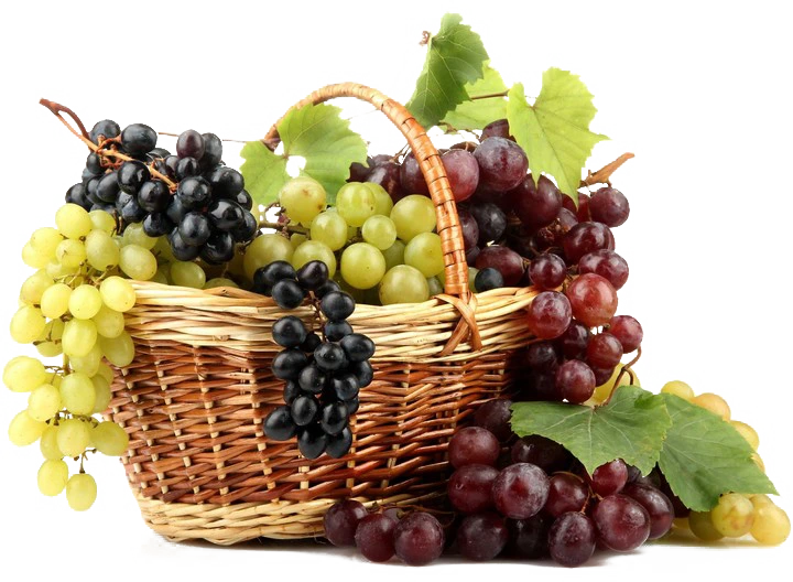 autumn-2024-grapes-in-basket